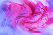 Love flower swirl